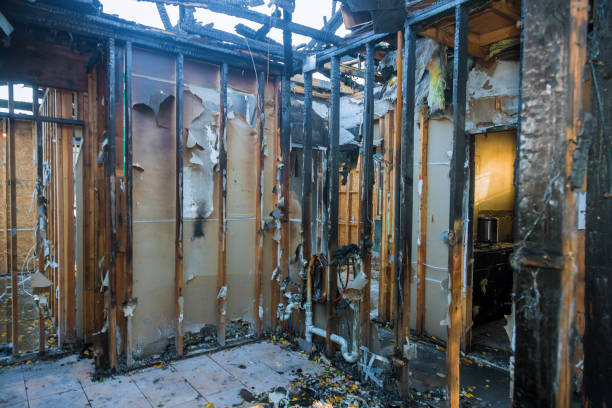 Professional Fire Damage Removal technician working in Ocoee, FL