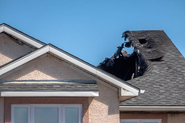 Top rated local Fire Damage Removal specialists in Ocoee, FL